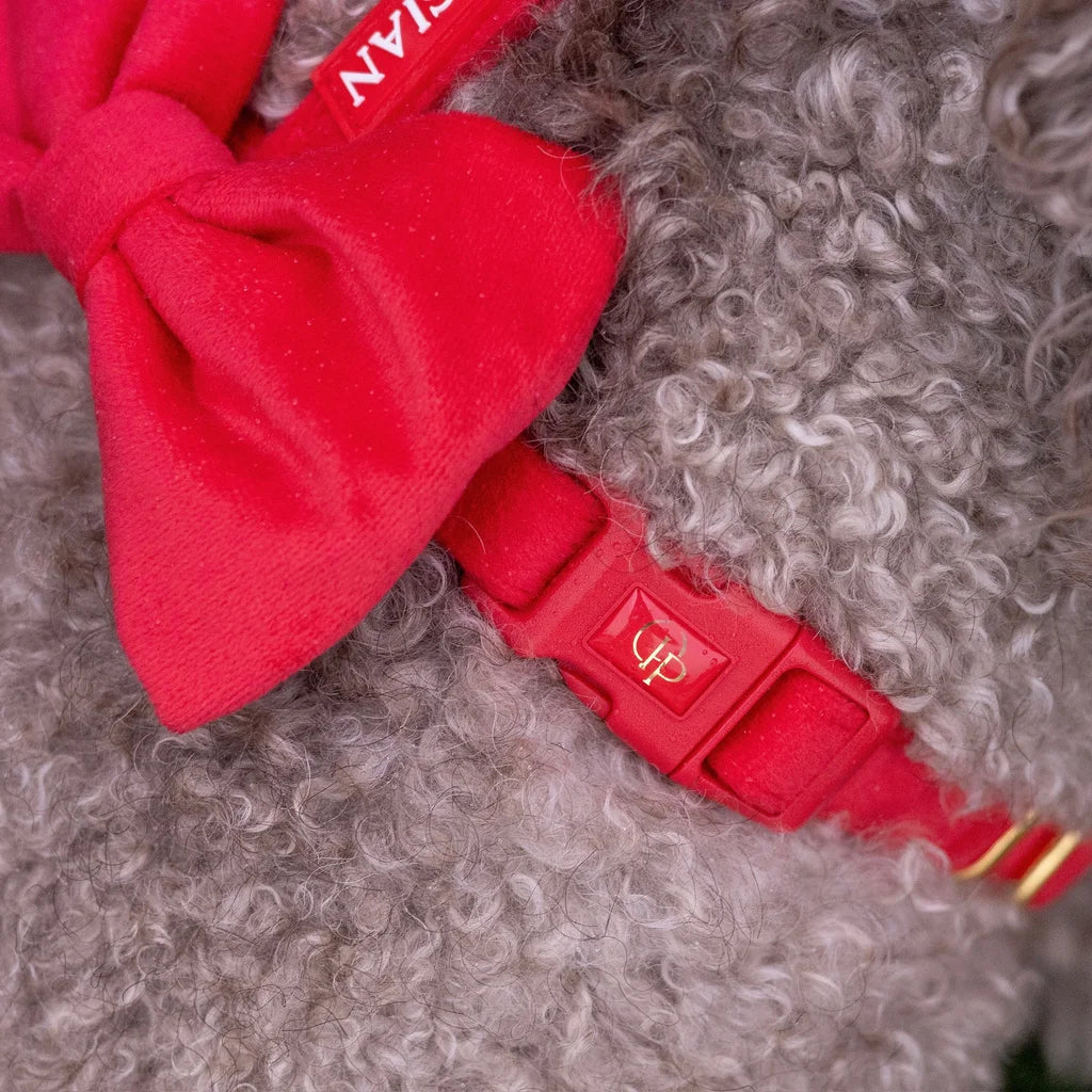 Welurowe szelki guard dla psa z kokardą 2.0 – czerwone