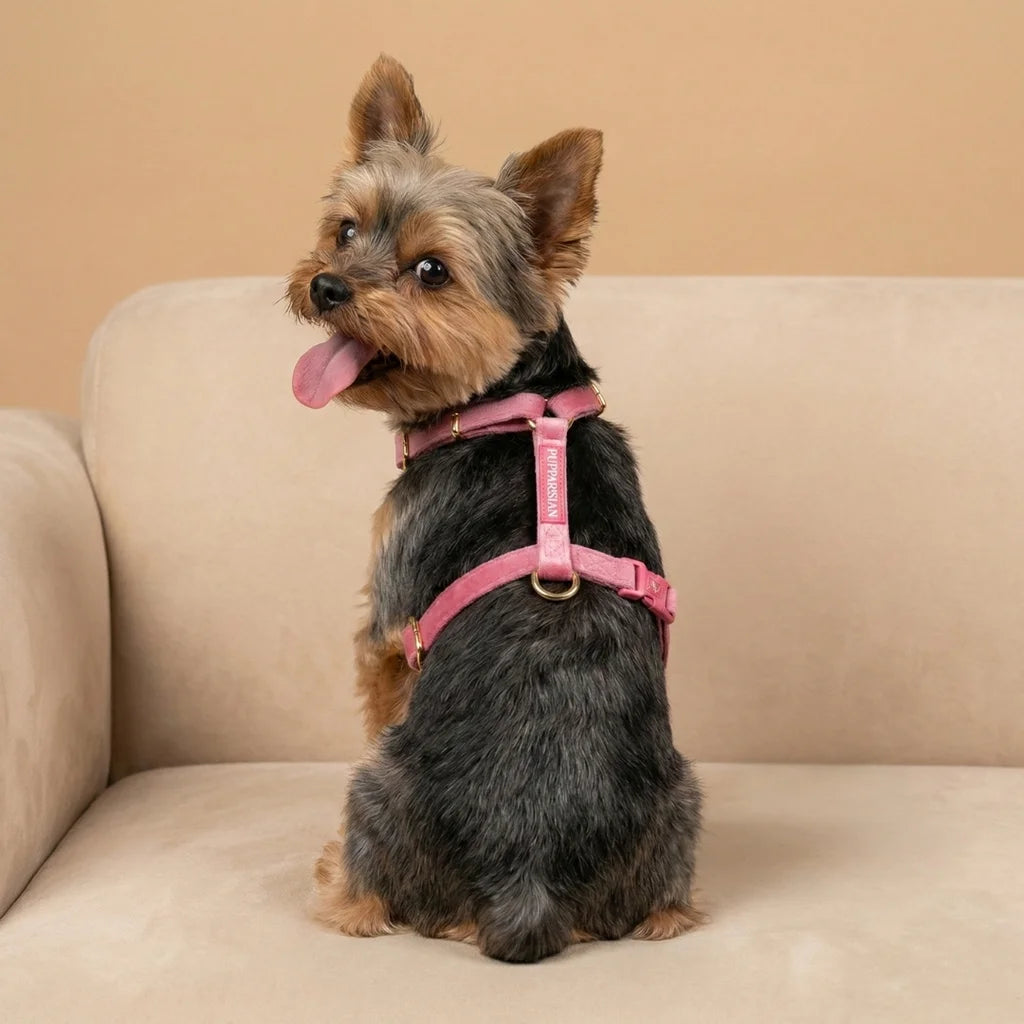 Welurowe szelki guard dla psa 2.0 - różowe