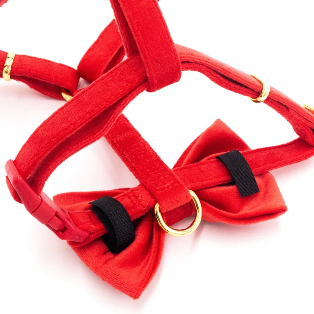 Welurowe szelki guard dla psa 2.0 – czerwone