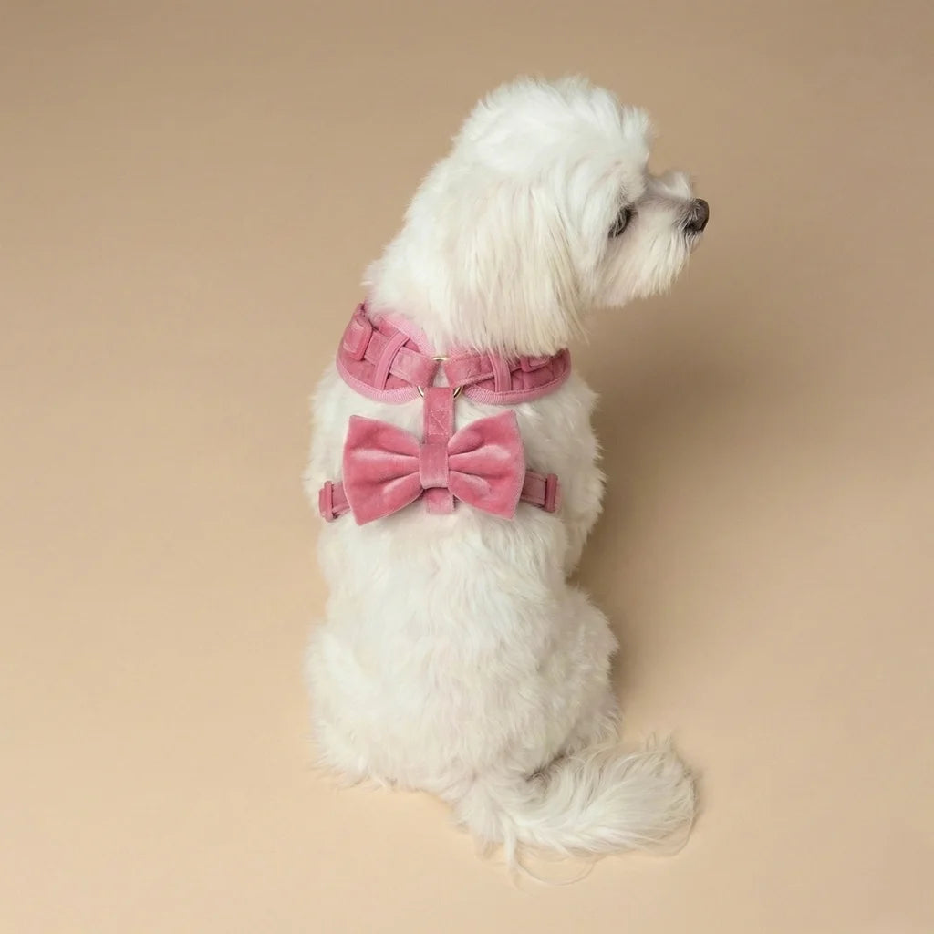 Welurowe szelki bezuciskowe dla psa – różowe