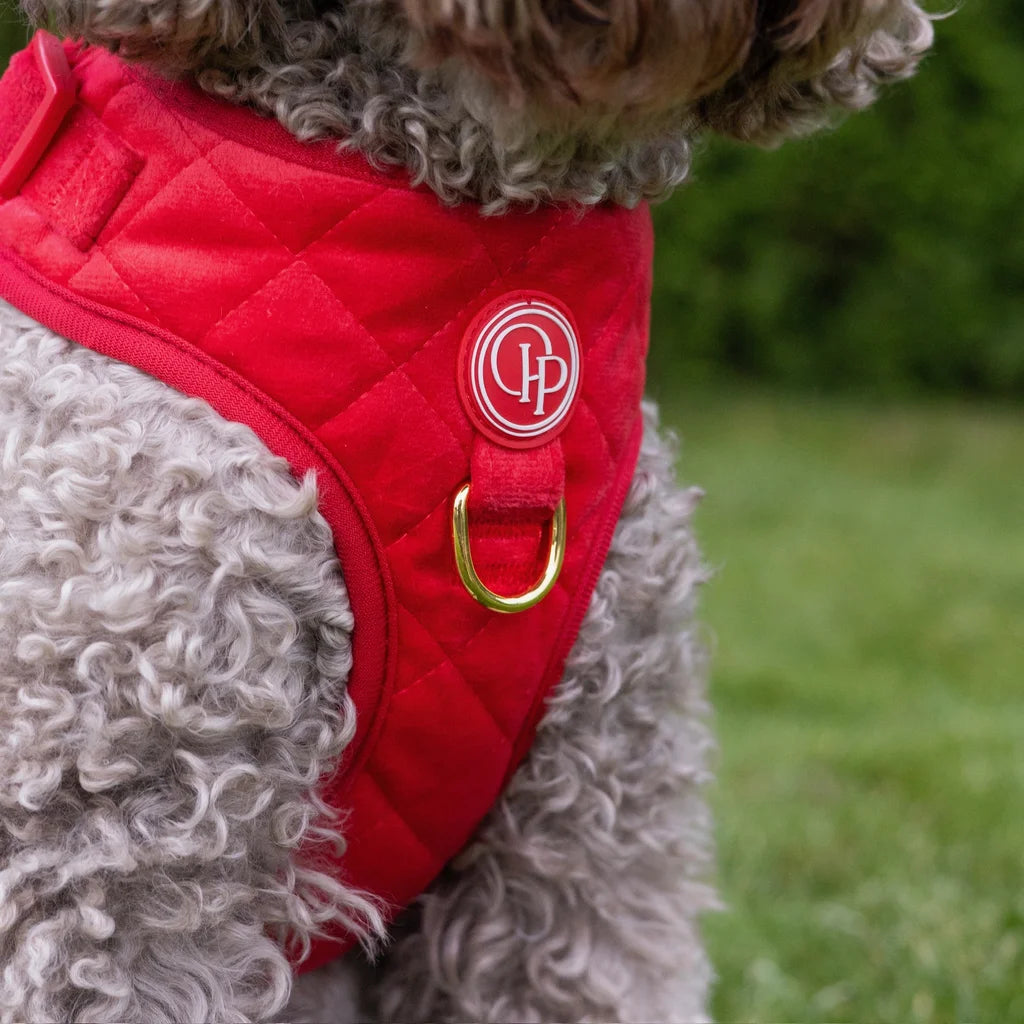 Welurowe szelki bezuciskowe dla psa 2.0 - czerwone