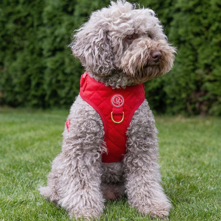 Welurowe szelki bezuciskowe dla psa 2.0 - czerwone