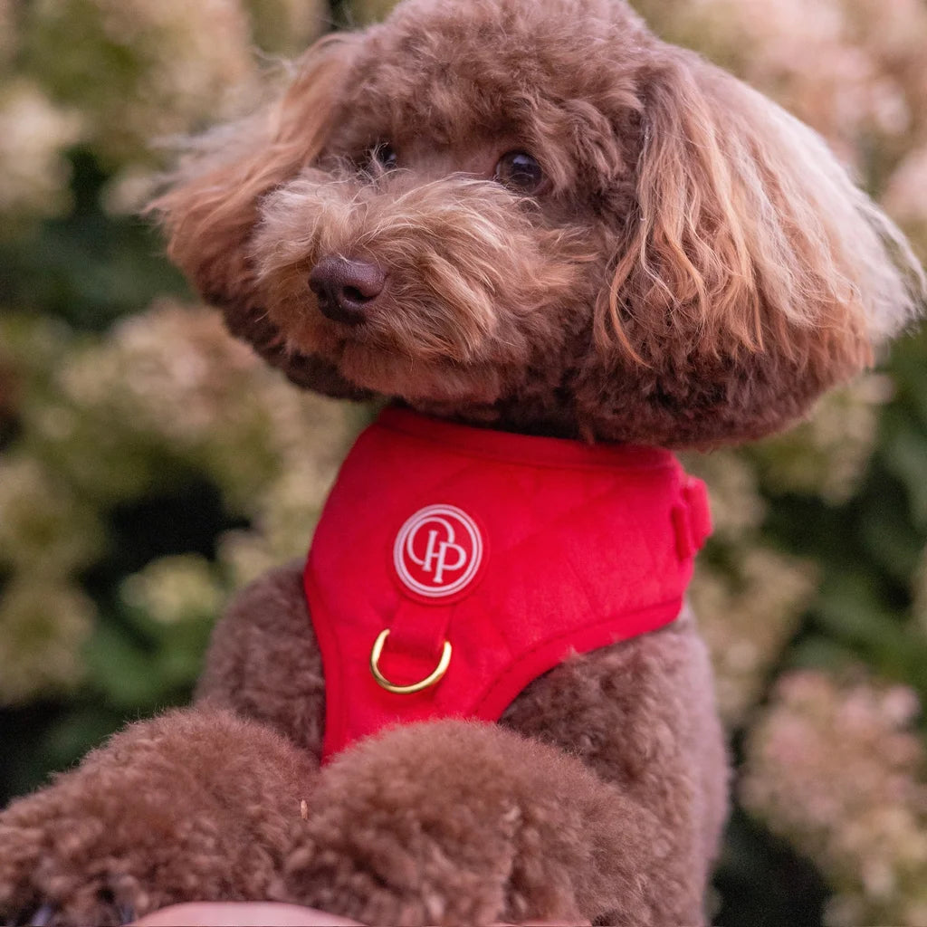 Welurowe szelki bezuciskowe dla psa 2.0 - czerwone