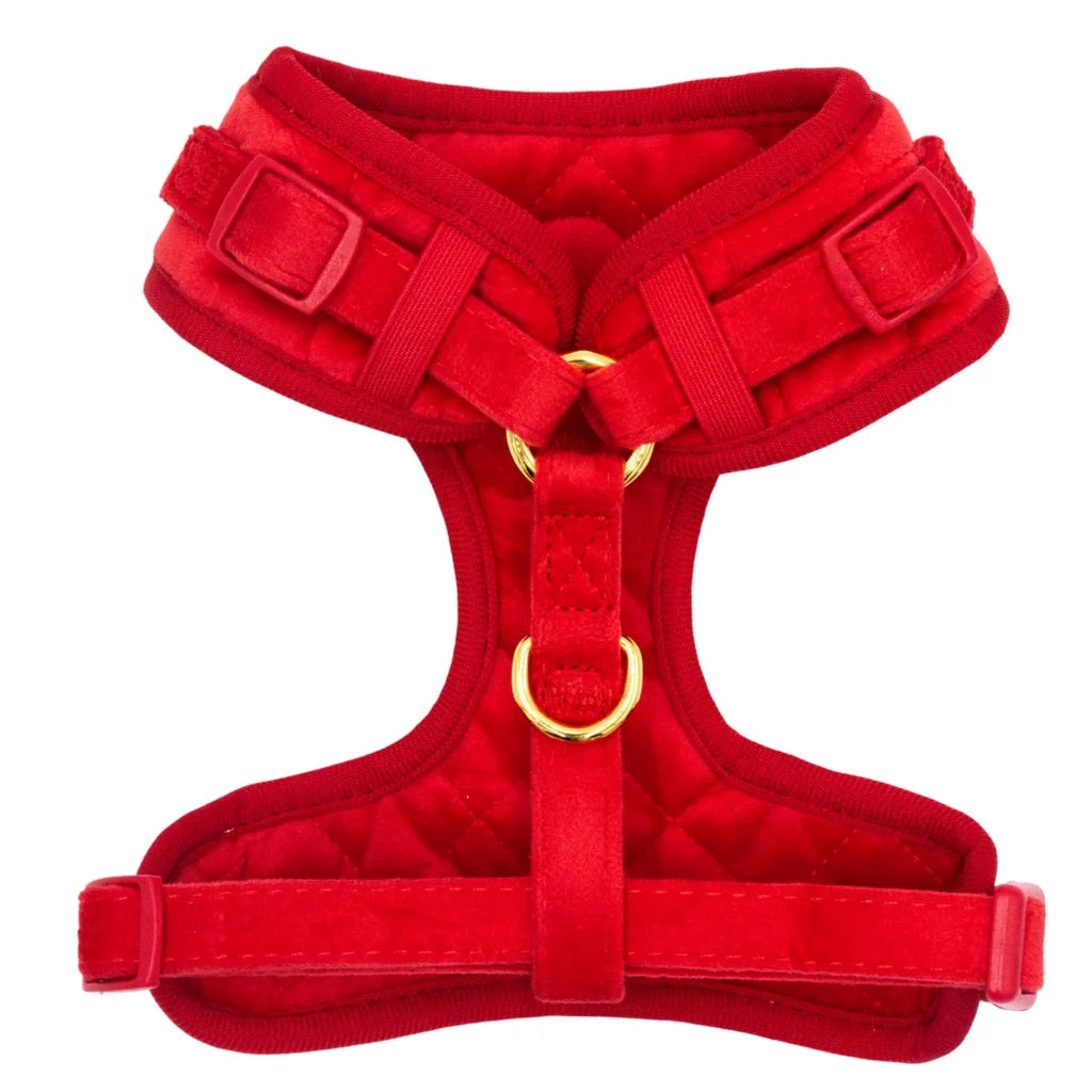 Welurowe szelki bezuciskowe dla psa 2.0 - czerwone