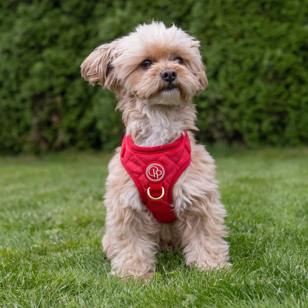 Welurowe szelki bezuciskowe dla psa 2.0 - czerwone