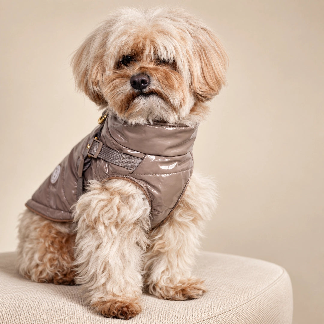 Kurtka dla psa zimowa 2w1 ocieplana wodoodporna - Beżowa – maltipoo na pufie