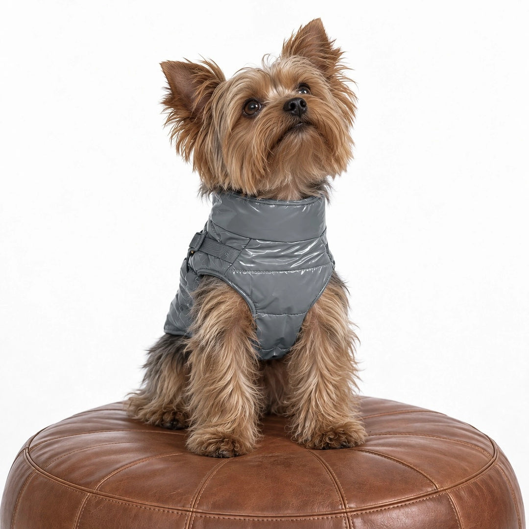 Kurtka dla psa zimowa 2w1 ocieplana wodoodporna - Szara – yorkshire terrier na skórzanej pufie